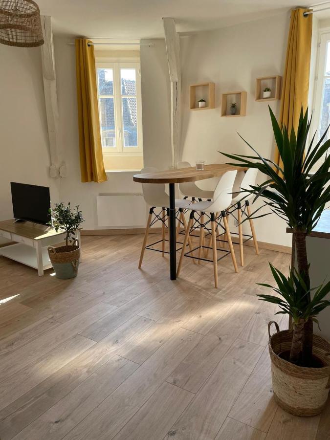 Le Velo Bleu Appartement Troyes Buitenkant foto