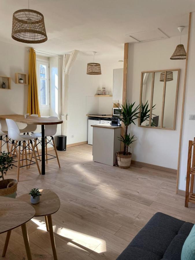 Le Velo Bleu Appartement Troyes Buitenkant foto